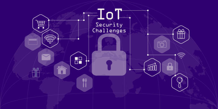 IoT security challenges